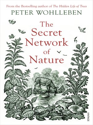cover image of The Secret Network of Nature